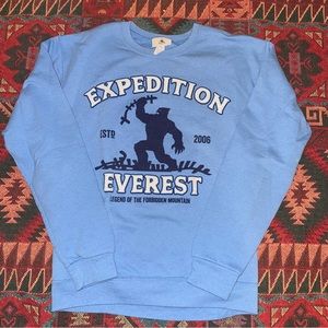 Disney World Expedition Everest Sweater